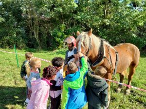 Le débardage à cheval fait école en bord de Garonne
